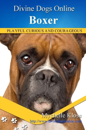 Boxers Divine Dogs Online