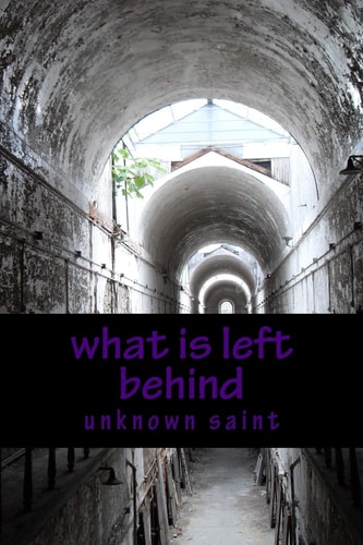 Volume Ii What is Left Behind