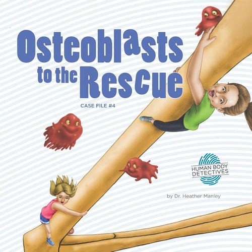 Osteoblasts to the Rescue An Imaginative Journey Through the Skeletal System