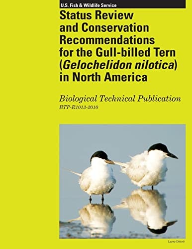 Status Review and Conservation Recommendations for the Gull-Billed Tern (Gelochelidon Nilotica) in North America
