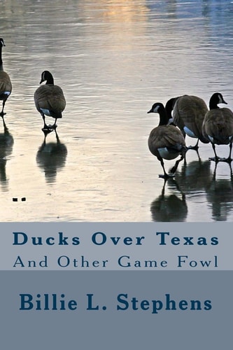 Ducks Over Texas And Other Game Fowl