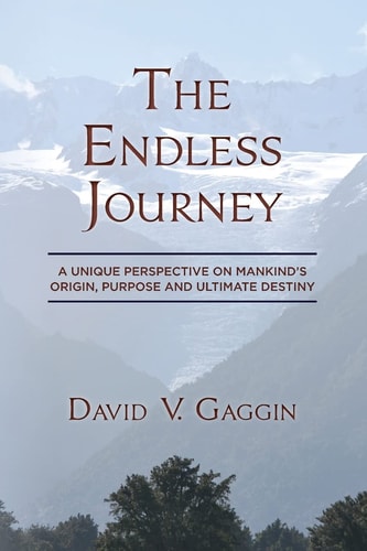 The Endless Journey A Unique Perspective on Mankind's Origin, Purpose and Ultimate Destiny