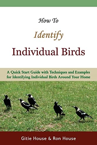How To Identify Individual Birds