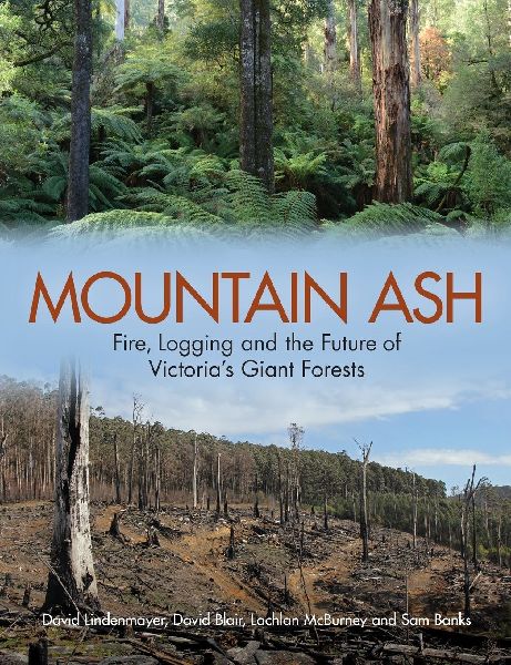 Mountain Ash: Fire, Logging and the Future of Victoria's Giant Forests