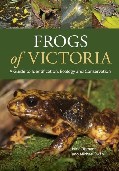 Frogs of Victoria