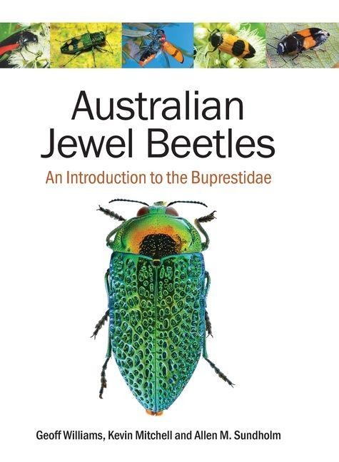 Australian Jewel Beetles: An Introduction to the Buprestidae