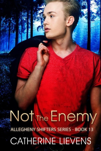Not the Enemy
