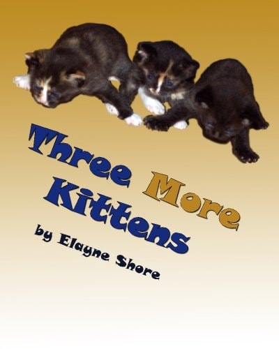 Three More Kittens
