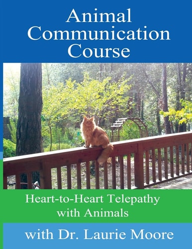 Animal Communication Course Heart-To-Heart Telepathy with Animals