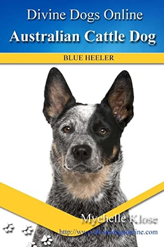 Australian Cattle Dogs Divine Dogs Online