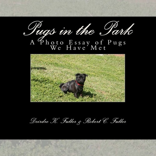 Pugs in the Park A Photo Essay of Pugs We Have Met