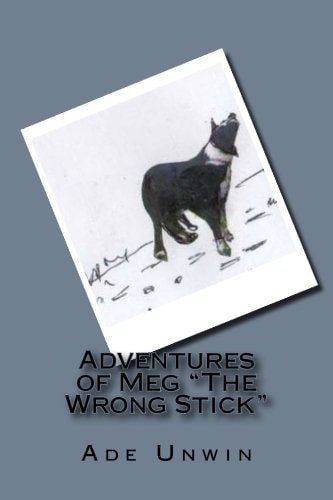 Adventures of Meg "The Wrong Stick" A Clever Border Collie Dogs Diary