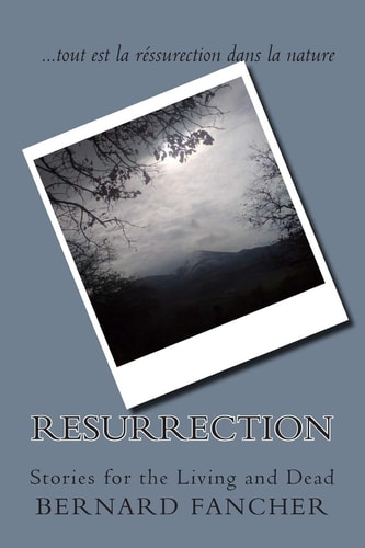 Resurrection Stories for the Living and Dead