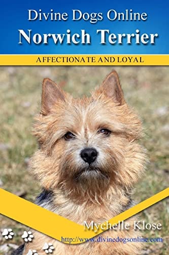 Norwich Terrier Divine Dogs Online