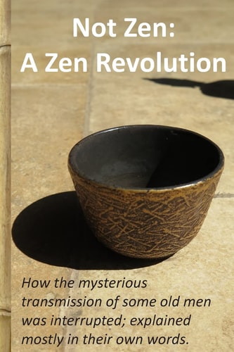 Not Zen: a Zen Revolution Buddhism Is Not Zen. Mindfulness Is Not Zen. Zazen Meditation Is Not Zen. How the Mysterious Transmission of Some Old Men Was Interrupted; Explained Mostly in Their Own Words