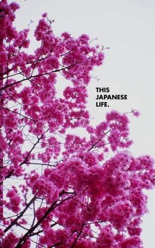 This Japanese Life