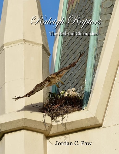 The Red Tail Chronicles Raleigh Raptors
