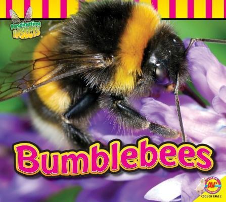 Bumblebees