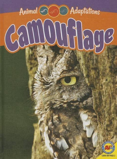 Camouflage
