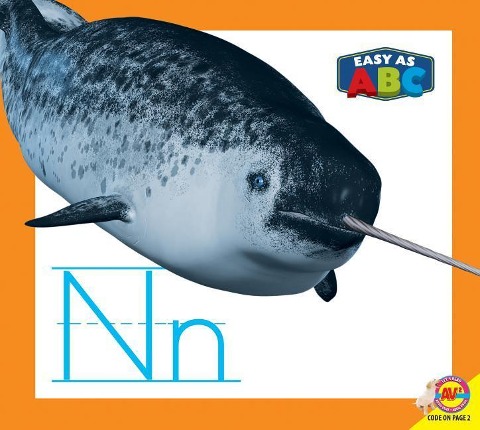 NN