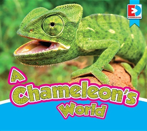 A Chameleons World