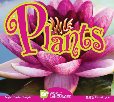 Plants