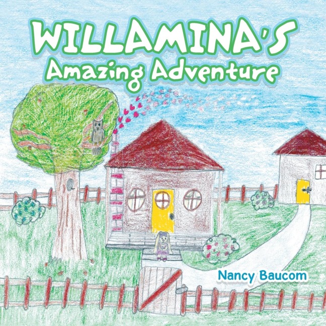 Willaminas  Amazing  Adventure