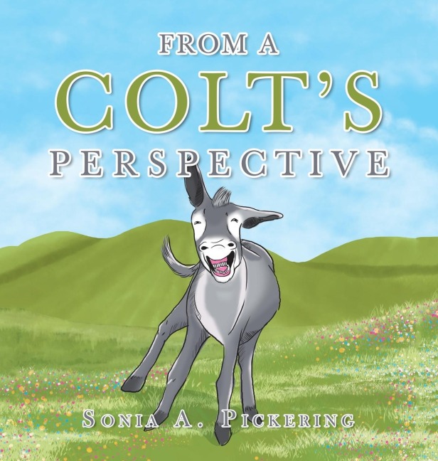 From a Colts Perspective