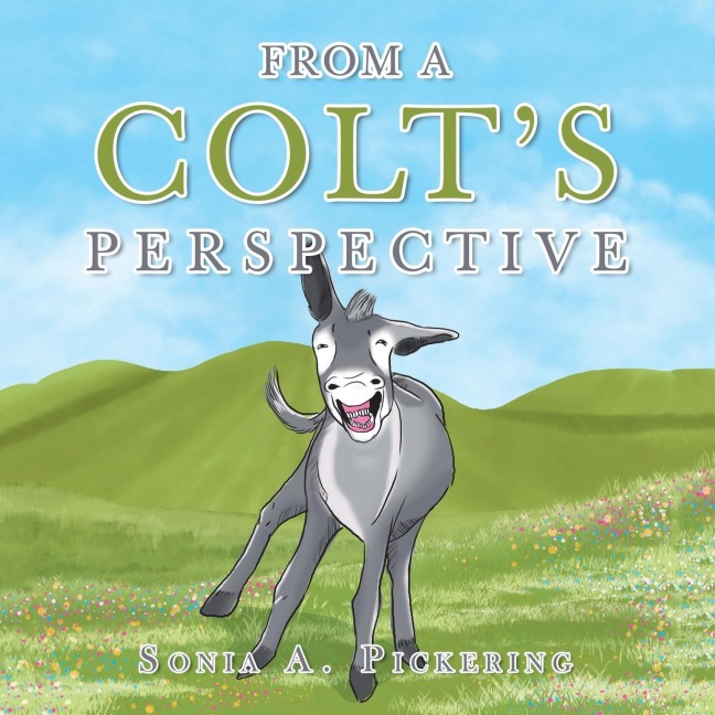 From a Colts Perspective