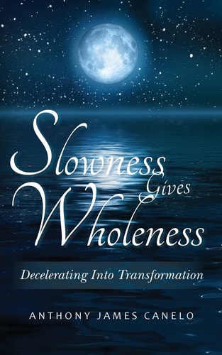 Slowness Gives Wholeness Decelerating Into Transformation