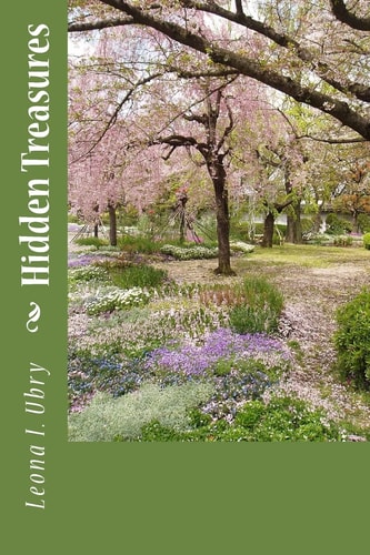 Hidden Treasures
