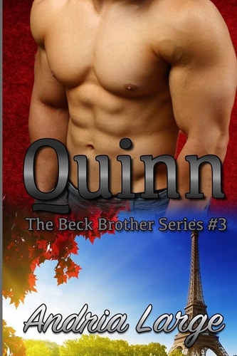 Quinn (The Beck Brothers Series)