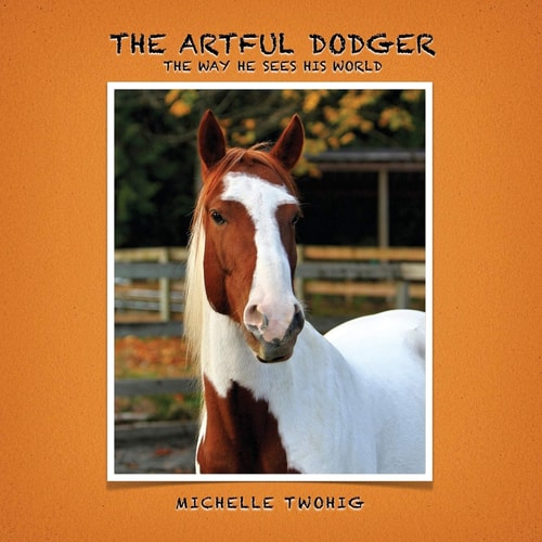 The Artful Dodger The Way He Sees His World