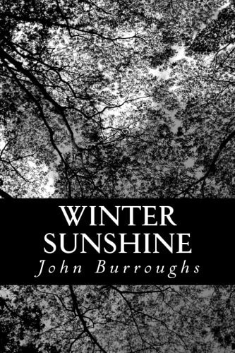 Winter Sunshine