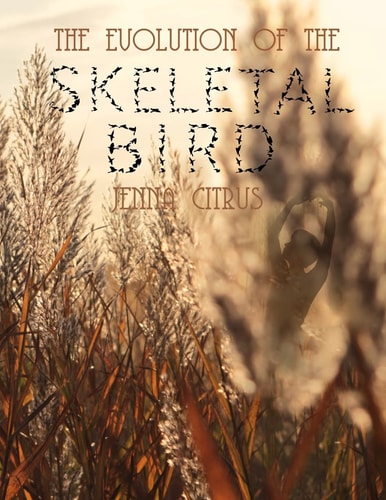 The Evolution of the Skeletal Bird