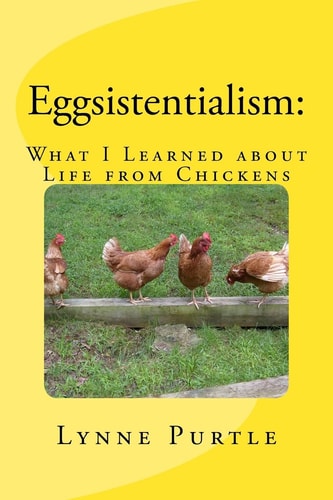Eggsistentialism What I Learned about Life from Chickens