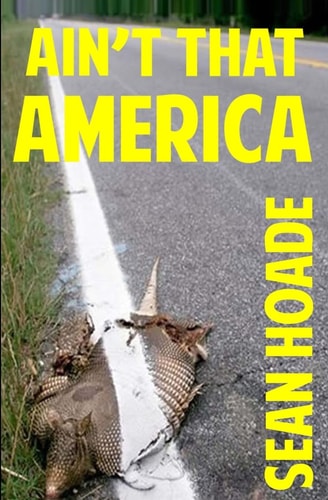 Ain't That America A Novel