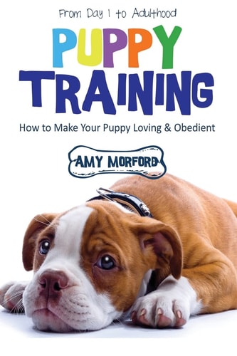 Puppy Training From Day 1 to Adulthood: How to Make Your Puppy Loving and Obedient