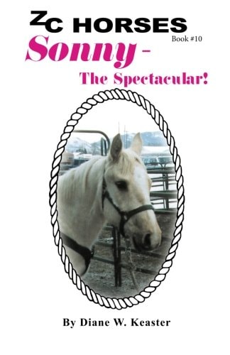 Sonny-The Spectacular