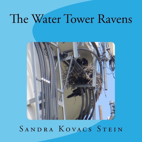 The Water Tower Ravens