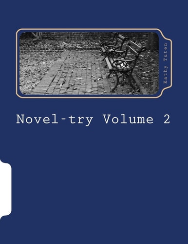 Novel-Try Volume 2 Teens' Guide to Writig Your First Best-Selling Novel: the Mystery Novel