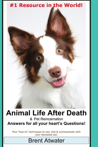 Animal Life After Death and Pet Reincarnation Answers for All Your Heart's Questions!