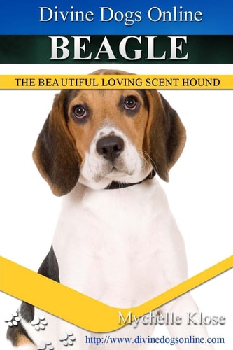 Beagles Divine Dogs Online