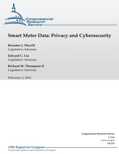 Smart Meter Data Privacy and Cybersecurity