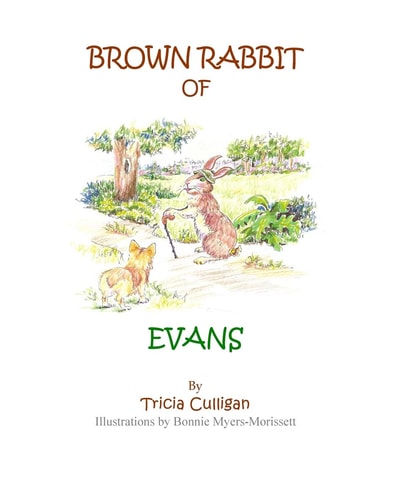 Brown Rabbit of Evans
