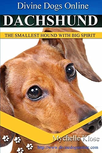Dachshunds Divine Dogs Online