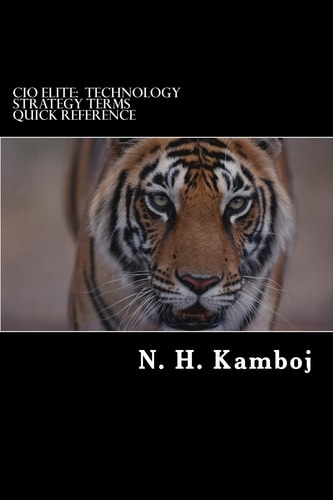 CIO Elite Technology Strategy Terms Quick Reference