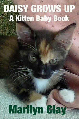 Daisy Grows Up A Kitten Baby Book