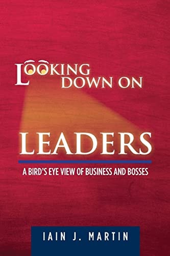 Looking Down on Leaders A Bird's Eye View of Business and Bosses