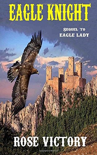 Eagle Knight